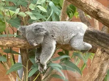 こども動物自然公園（埼玉県公園緑地協会）に投稿された画像（2026/9/24）
