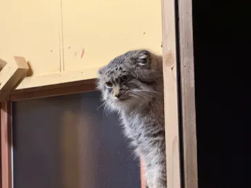 こども動物自然公園（埼玉県公園緑地協会）に投稿された画像（2026/9/24）