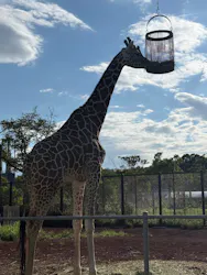 こども動物自然公園（埼玉県公園緑地協会）に投稿された画像（2026/9/24）