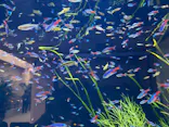 仙台うみの杜水族館に投稿された画像（2026/9/24）