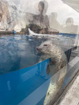 仙台うみの杜水族館に投稿された画像（2026/9/24）