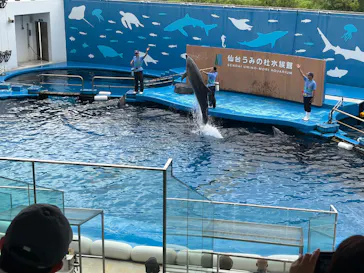 仙台うみの杜水族館に投稿された画像（2026/9/24）