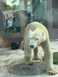 天王寺動物園に投稿された画像（2026/9/24）