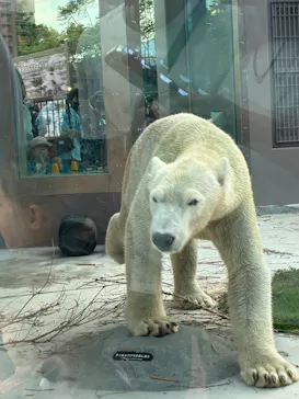 天王寺動物園に投稿された画像（2026/9/24）