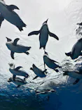 サンシャイン水族館に投稿された画像（2026/9/24）