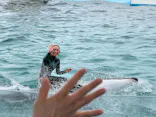 鴨川シーワールドに投稿された画像（2026/9/24）
