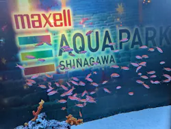 マクセル アクアパーク品川に投稿された画像（2026/9/24）