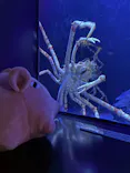 サンシャイン水族館に投稿された画像（2026/9/25）