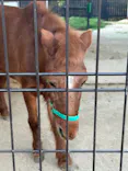 天王寺動物園に投稿された画像（2026/9/25）
