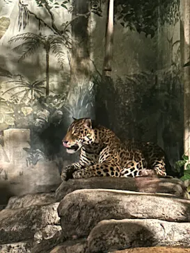 天王寺動物園に投稿された画像（2026/9/24）