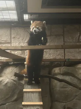 天王寺動物園に投稿された画像（2026/9/24）