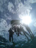 武藤潜水に投稿された画像（2026/9/25）