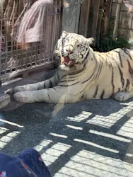 東武動物公園に投稿された画像（2026/9/25）