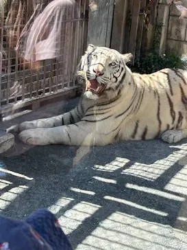 東武動物公園に投稿された画像（2026/9/25）