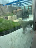 天王寺動物園に投稿された画像（2026/9/25）