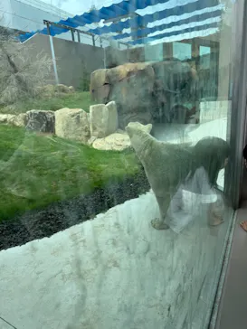 天王寺動物園に投稿された画像（2026/9/25）