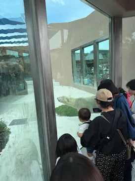 天王寺動物園に投稿された画像（2026/9/25）