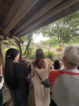天王寺動物園に投稿された画像（2026/9/25）