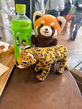 天王寺動物園に投稿された画像（2026/9/25）