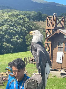 那須どうぶつ王国に投稿された画像（2026/9/25）