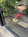 カワスイ 川崎⽔族館に投稿された画像（2026/9/25）