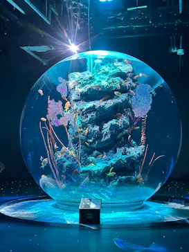 AQUARIUM × ART　atoaに投稿された画像（2026/9/25）