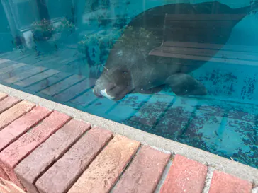 熱川バナナワニ園に投稿された画像（2026/9/25）