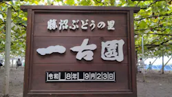 一古園に投稿された画像（2026/9/25）