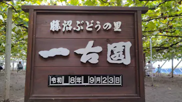 一古園に投稿された画像（2026/9/25）