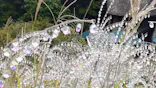 箱根ガラスの森美術館に投稿された画像（2026/9/25）