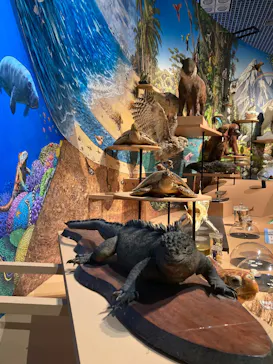 特別展「いきもの超ワールド展　国立科学博物館×ダーウィンが来た！」（国立科学博物館）に投稿された画像（2026/9/25）