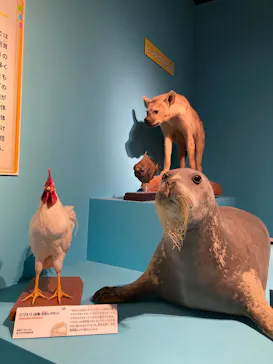 特別展「いきもの超ワールド展　国立科学博物館×ダーウィンが来た！」（国立科学博物館）に投稿された画像（2026/9/25）