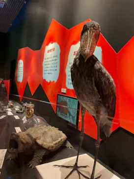 特別展「いきもの超ワールド展　国立科学博物館×ダーウィンが来た！」（国立科学博物館）に投稿された画像（2026/9/25）