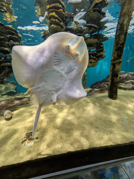 仙台うみの杜水族館に投稿された画像（2026/9/25）