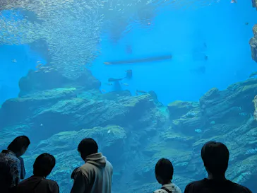 仙台うみの杜水族館に投稿された画像（2026/9/25）