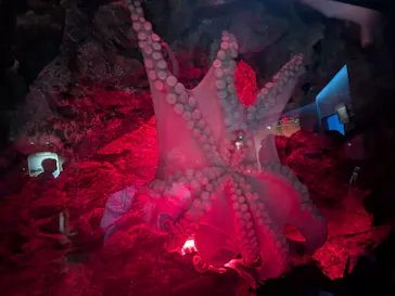 仙台うみの杜水族館に投稿された画像（2026/9/25）