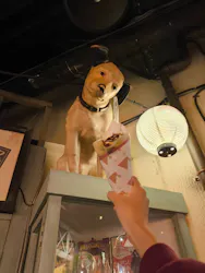 ナンジャタウンに投稿された画像（2026/9/25）