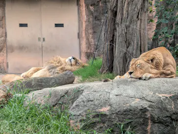 天王寺動物園に投稿された画像（2026/9/25）