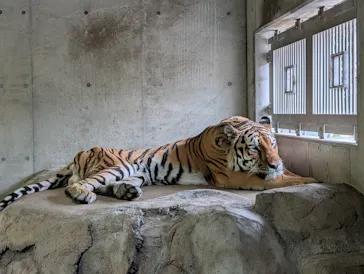 天王寺動物園に投稿された画像（2026/9/25）