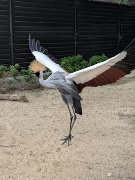 天王寺動物園に投稿された画像（2026/9/25）