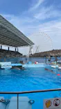 名古屋港水族館に投稿された画像（2026/9/25）