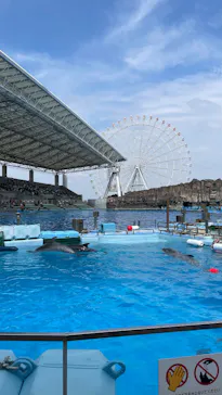 名古屋港水族館に投稿された画像（2026/9/25）
