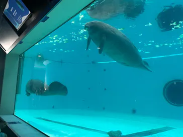 沖縄美ら海水族館に投稿された画像（2026/9/25）