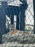 名古屋市東山動植物園に投稿された画像（2026/9/25）