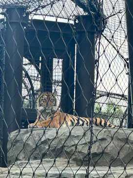 名古屋市東山動植物園に投稿された画像（2026/9/25）