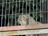 名古屋市東山動植物園に投稿された画像（2026/9/25）