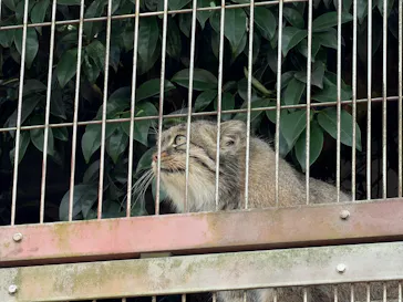 名古屋市東山動植物園に投稿された画像（2026/9/25）