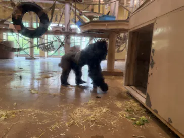 名古屋市東山動植物園に投稿された画像（2026/9/25）