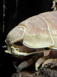 サンシャイン水族館に投稿された画像（2026/9/25）