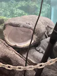 京都水族館に投稿された画像（2026/9/25）